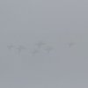 Aviation